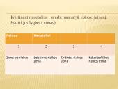 Ekonominė verslo rizika 5 puslapis