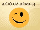 Ekonominė verslo rizika 8 puslapis