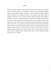 LDK raštija 2 puslapis