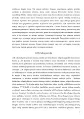 LDK raštija 6 puslapis