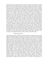 Adamas Smithas 5 puslapis