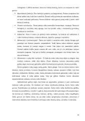 Vaiko gerovė mokslinėje literatūroje 10 puslapis