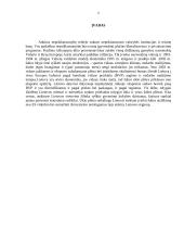 Ūkio raidos vystymosi sektoriai nuo 1990- iki dabar 2 puslapis