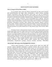 Ūkio raidos vystymosi sektoriai nuo 1990- iki dabar 5 puslapis