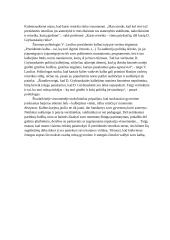 Kurį šiandienos visuomenės veikėją laikytumėte geriausiu oratoriumi? Savo įžvalgas argumentuokite pavyzdžiais. 3 puslapis