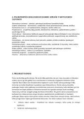 Technologijų mokyklinio brandos egzamino baigiamojo darbo aprašas. 3 puslapis