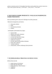 Technologijų mokyklinio brandos egzamino baigiamojo darbo aprašas. 5 puslapis