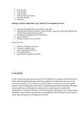 Technologijų mokyklinio brandos egzamino baigiamojo darbo aprašas. 6 puslapis