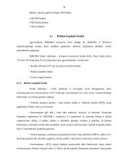 ES struktūrinių fondų parama Lietuvos verslui 2007-2013 18 puslapis