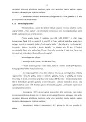 ES struktūrinių fondų parama Lietuvos verslui 2007-2013 19 puslapis