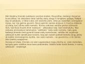 Sovietmečio būstai 8 puslapis