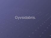 Gyvsidabris skaidrės