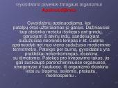 Gyvsidabris skaidrės 5 puslapis