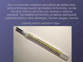 Gyvsidabris skaidrės 6 puslapis