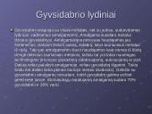 Gyvsidabris skaidrės 7 puslapis