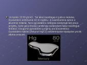 Gyvsidabris skaidrės 10 puslapis