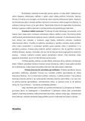 Biurokratijos koncepcijos samprata. Biurokratijos funkcijos 13 puslapis