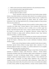 Biurokratijos koncepcijos samprata. Biurokratijos funkcijos 5 puslapis