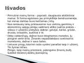 Pinigų atsiradimas pasaulyje ir Lietuvos pinigų raida iki šių dienų 12 puslapis