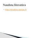 Pinigų atsiradimas pasaulyje ir Lietuvos pinigų raida iki šių dienų 13 puslapis