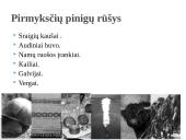 Pinigų atsiradimas pasaulyje ir Lietuvos pinigų raida iki šių dienų 6 puslapis