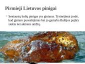 Pinigų atsiradimas pasaulyje ir Lietuvos pinigų raida iki šių dienų 7 puslapis