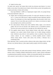 Vaiko gerovės samprata mokslinėje literatūroje 11 puslapis