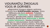 Viduramžiai ir jų vaizdavimas literatūroje 13 puslapis