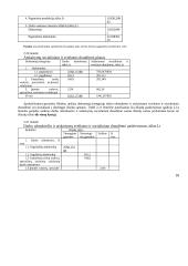 Įmonės veiklos planavimas. Verslo planas 17 puslapis