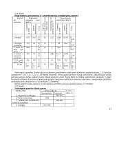 Įmonės veiklos planavimas. Verslo planas 20 puslapis