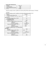 Įmonės veiklos planavimas. Verslo planas 10 puslapis