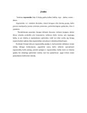Ergonomika. Namų darbas 3 puslapis