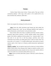 Ergonomika. Namų darbas 4 puslapis