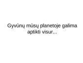 Prisitaikyti – reiškia išlikti 2 puslapis