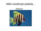 Prisitaikyti – reiškia išlikti 14 puslapis