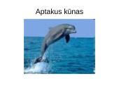 Prisitaikyti – reiškia išlikti 15 puslapis