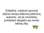 Prisitaikyti – reiškia išlikti 16 puslapis