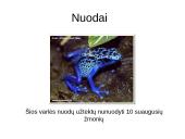 Prisitaikyti – reiškia išlikti 18 puslapis