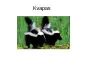 Prisitaikyti – reiškia išlikti 19 puslapis