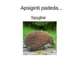 Prisitaikyti – reiškia išlikti 20 puslapis