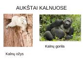 Prisitaikyti – reiškia išlikti 3 puslapis