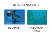 Prisitaikyti – reiškia išlikti 4 puslapis