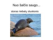 Prisitaikyti – reiškia išlikti 9 puslapis