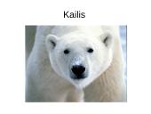 Prisitaikyti – reiškia išlikti 10 puslapis