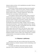 Rūkymo poveikis sveikatai 13 puslapis