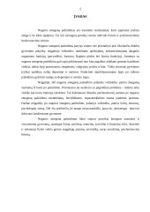 Nugaros smegenų pažeidimas padidina rizika susirgti psichikos sutrikimais 2 puslapis