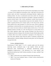 Įtvarai ir siringų terapija 7 puslapis