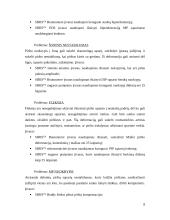 Įtvarai ir siringų terapija 8 puslapis