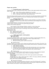 Žmogaus saugos konspektas