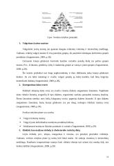 Cukrinis diabetas konspektas 5 puslapis